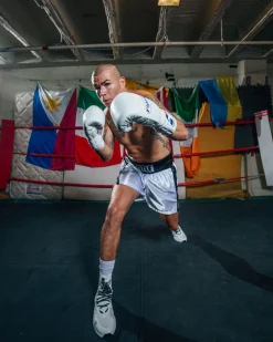 Fighting Fearless Certified Pro Fight Boxing Gloves II