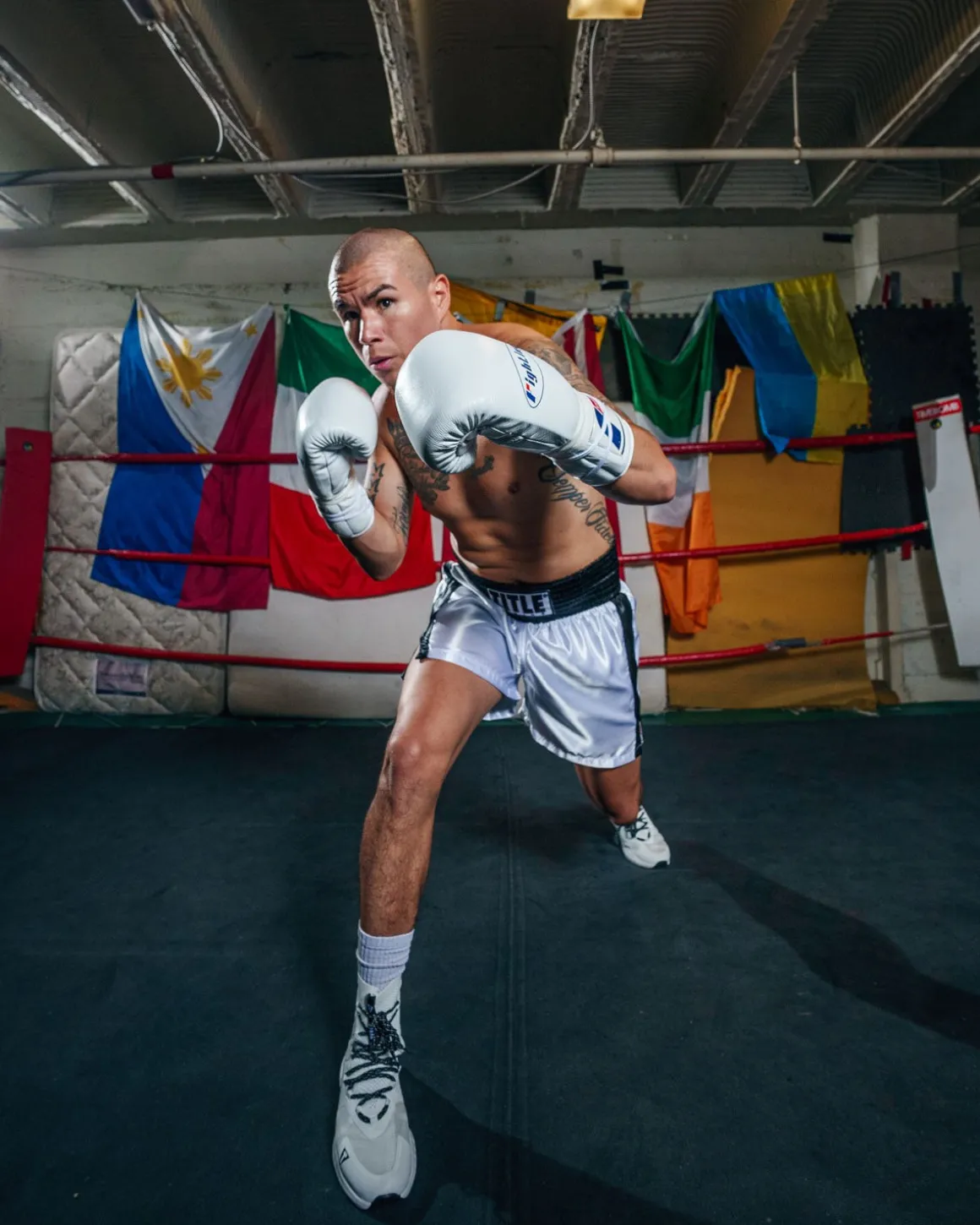 Fighting Fearless Certified Pro Fight Boxing Gloves II