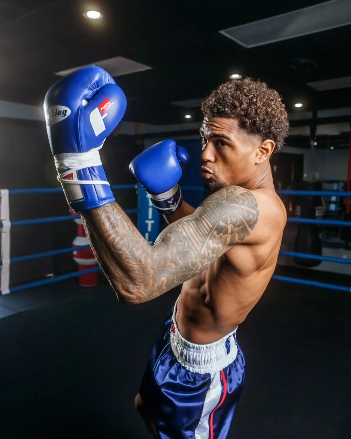 Fighting Fearless Certified Pro Fight Boxing Gloves II