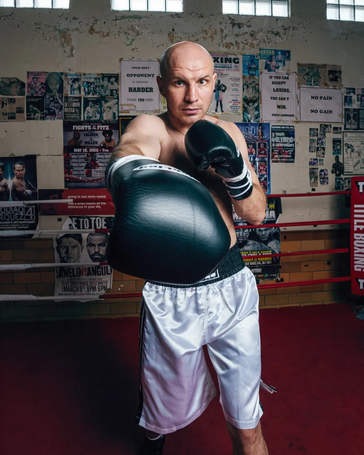Fighting Fearless Certified Pro Fight Boxing Gloves II