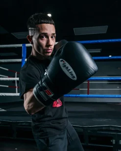 Fighting Sports Fury Professional Lace Training Gloves