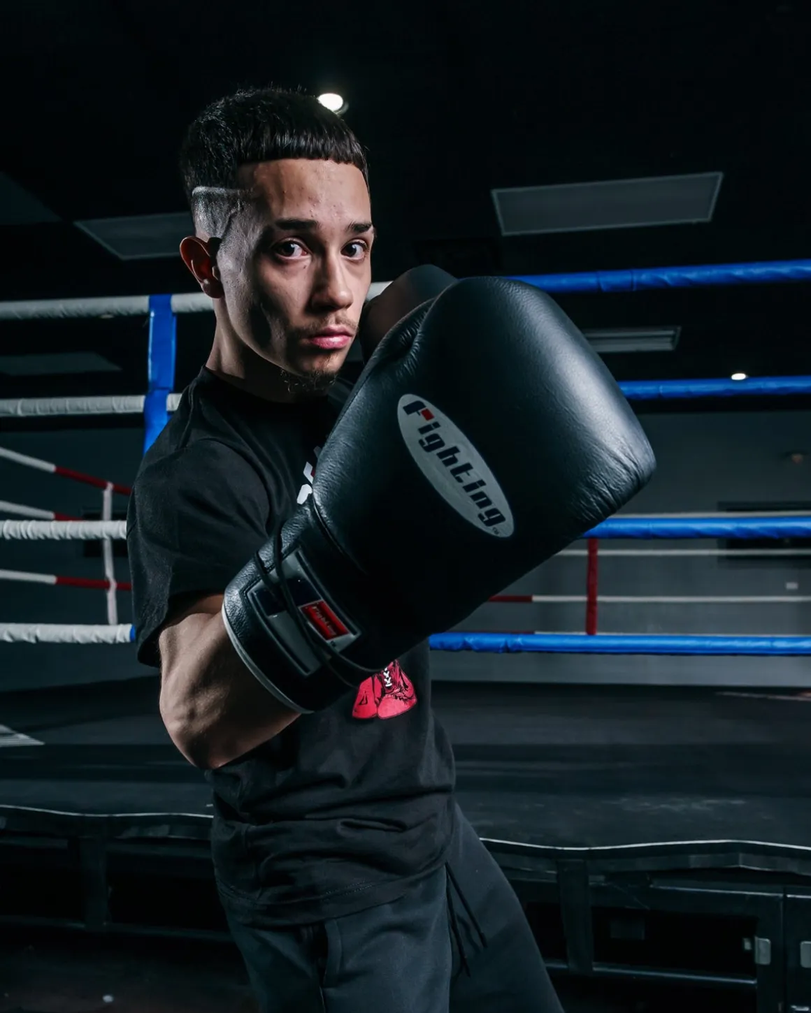 Fighting Sports Fury Professional Lace Training Gloves