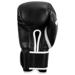 Fighting Sports Fury Professional Training Gloves