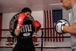 Fighting Sports Fury Professional Training Gloves