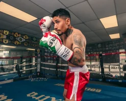 Pro Mex Combatiente Pro Fight Boxing Gloves