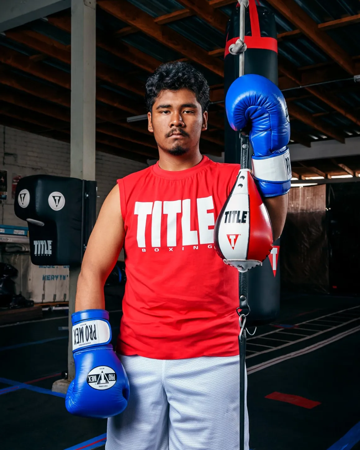 Pro Mex Professional Bag Boxing Gloves V3.0
