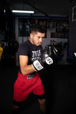 Pro Mex Professional Bag Boxing Gloves V3.0