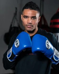 Pro Mex Professional Bag Boxing Gloves V3.0