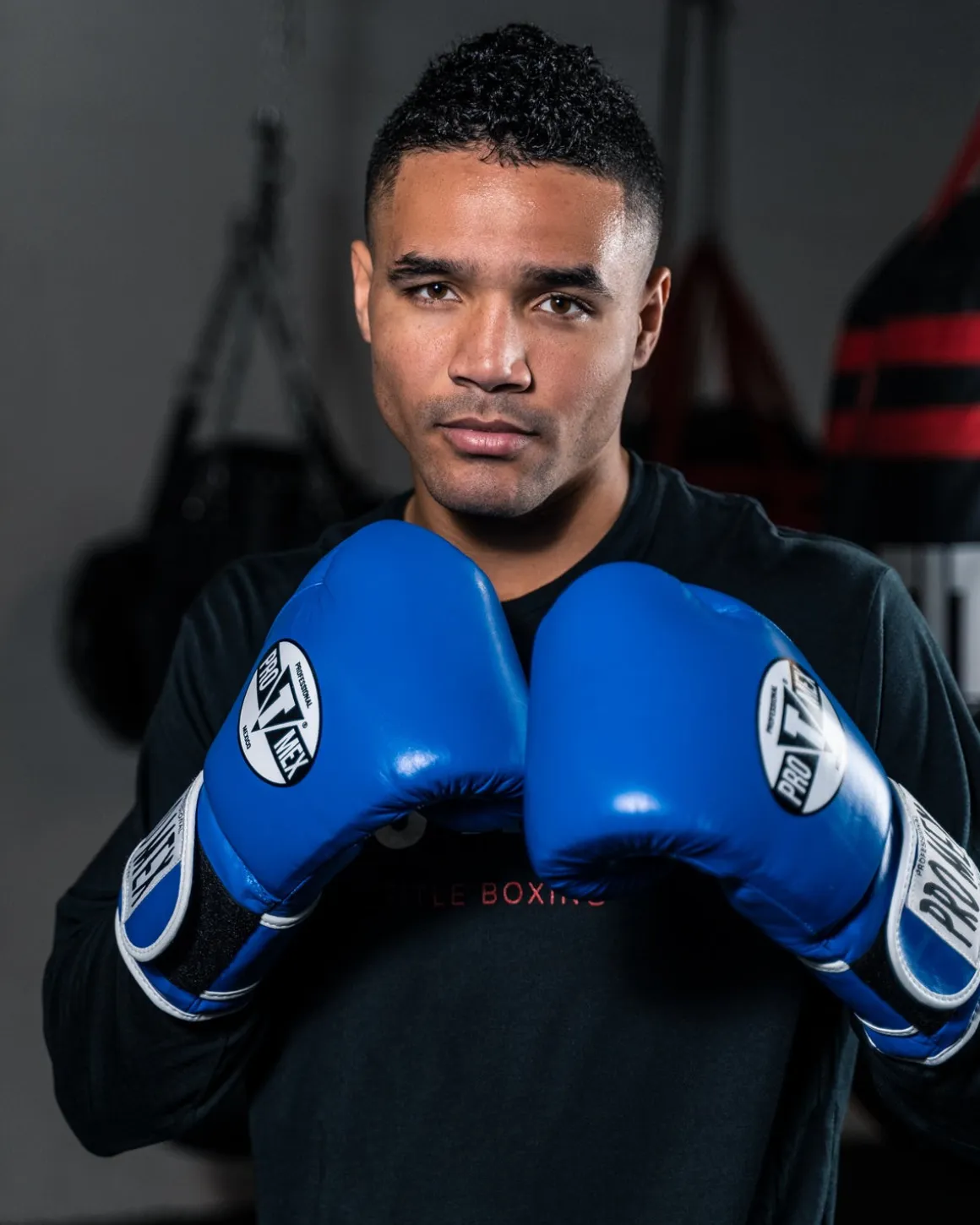 Pro Mex Professional Bag Boxing Gloves V3.0