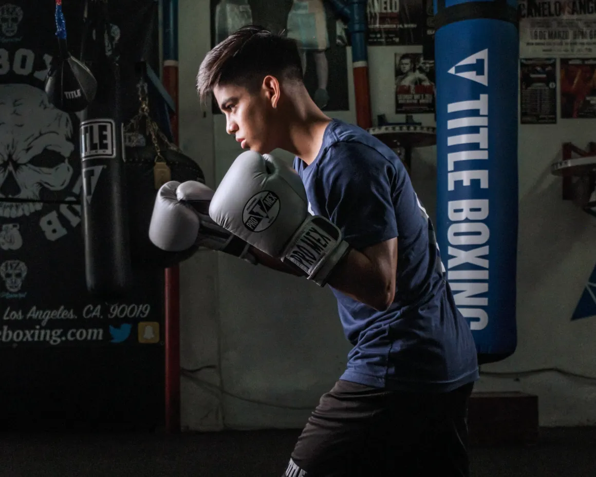 Pro Mex Professional Bag Boxing Gloves V3.0