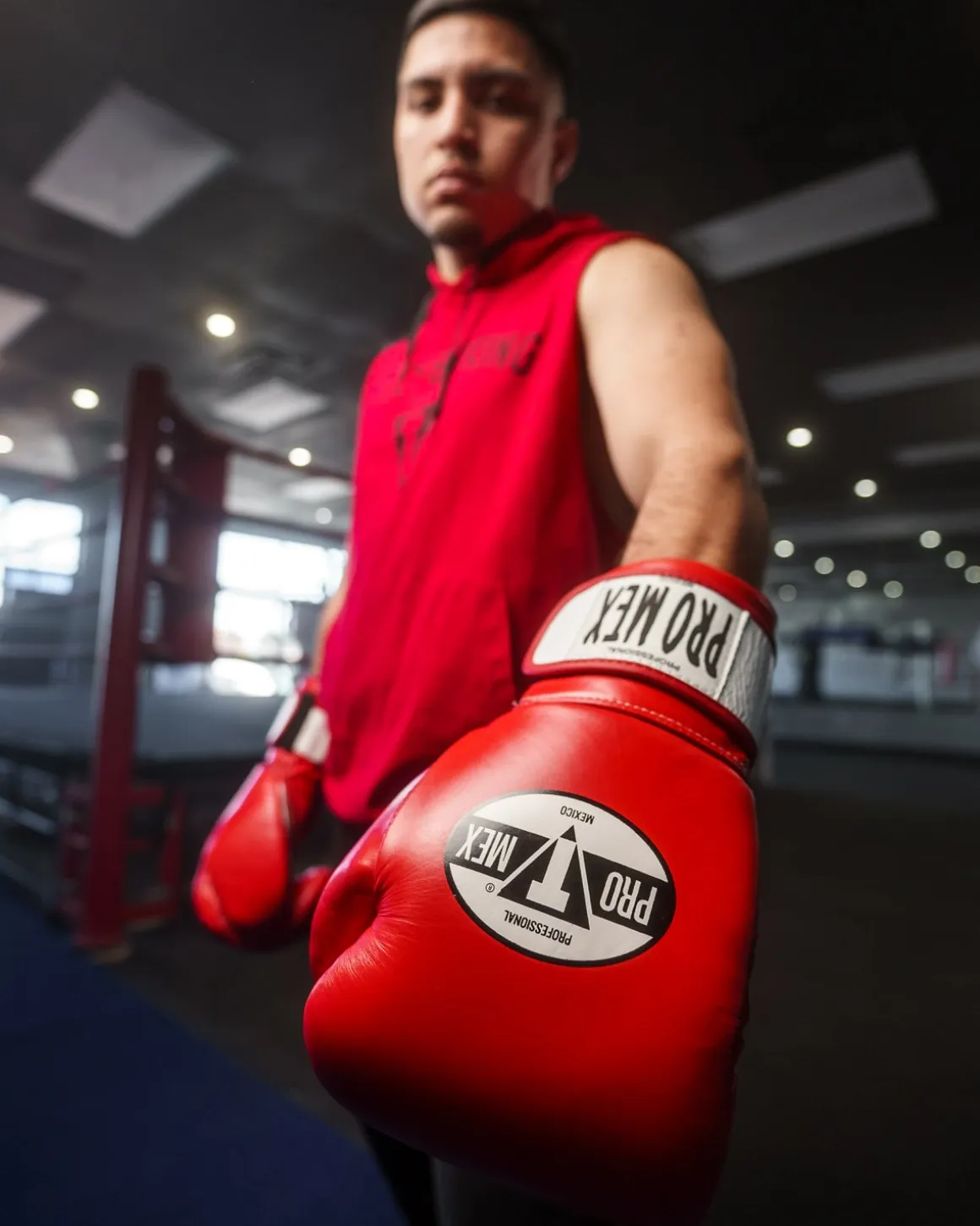 Pro Mex Professional Bag Boxing Gloves V3.0