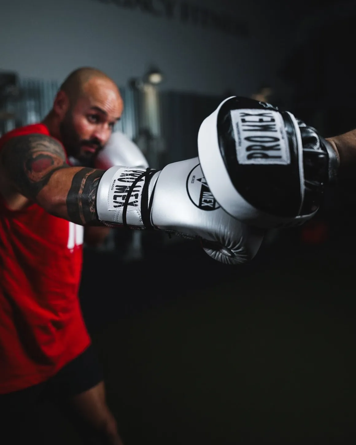 Pro Mex Professional Edge Lace Training/Sparring Boxing Gloves