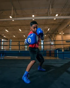 Pro Mex Professional Training Boxing Gloves 3.0