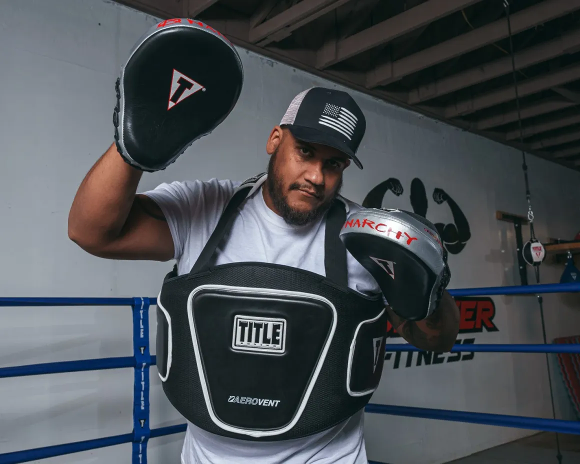 TITLE Aerovent Anarchy Punch Mitts