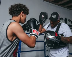 TITLE Aerovent Anarchy Punch Mitts