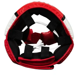 TITLE Aerovent Elite USA Boxing Competition Headgear – With Cheeks