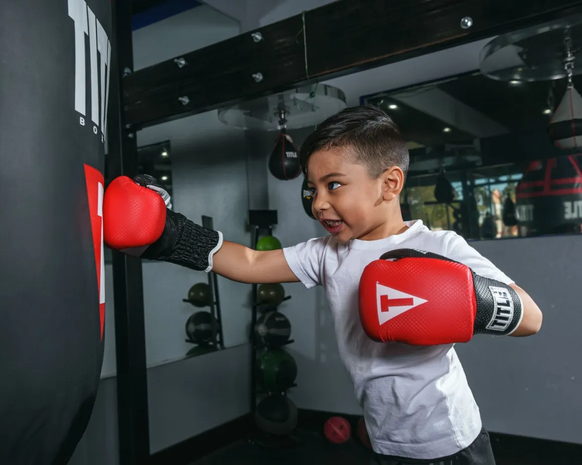 TITLE Aerovent Youth Boxing Gloves