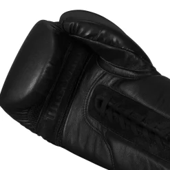 TITLE BLACK Lace Sparring Gloves 2.0