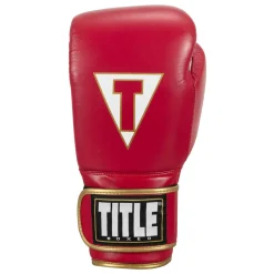 TITLE Boxeo Mexican Leather Training Boxing Gloves Quatro