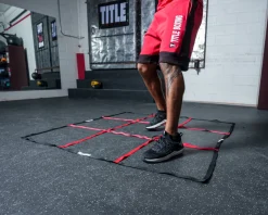 TITLE Boxing Agility Cube