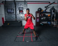 TITLE Boxing Agility Cube