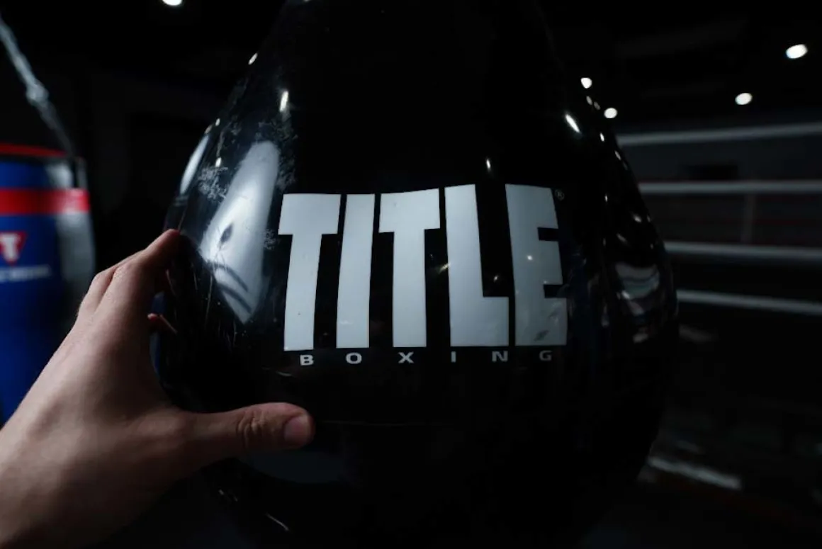 TITLE Boxing Aqua Training Punching Bag