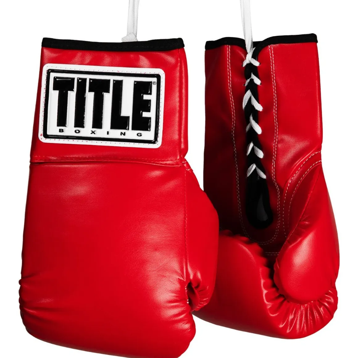 TITLE Boxing Autograph Gloves