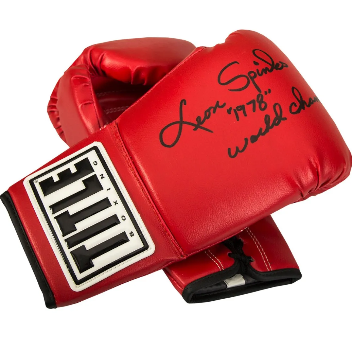 TITLE Boxing Autograph Gloves