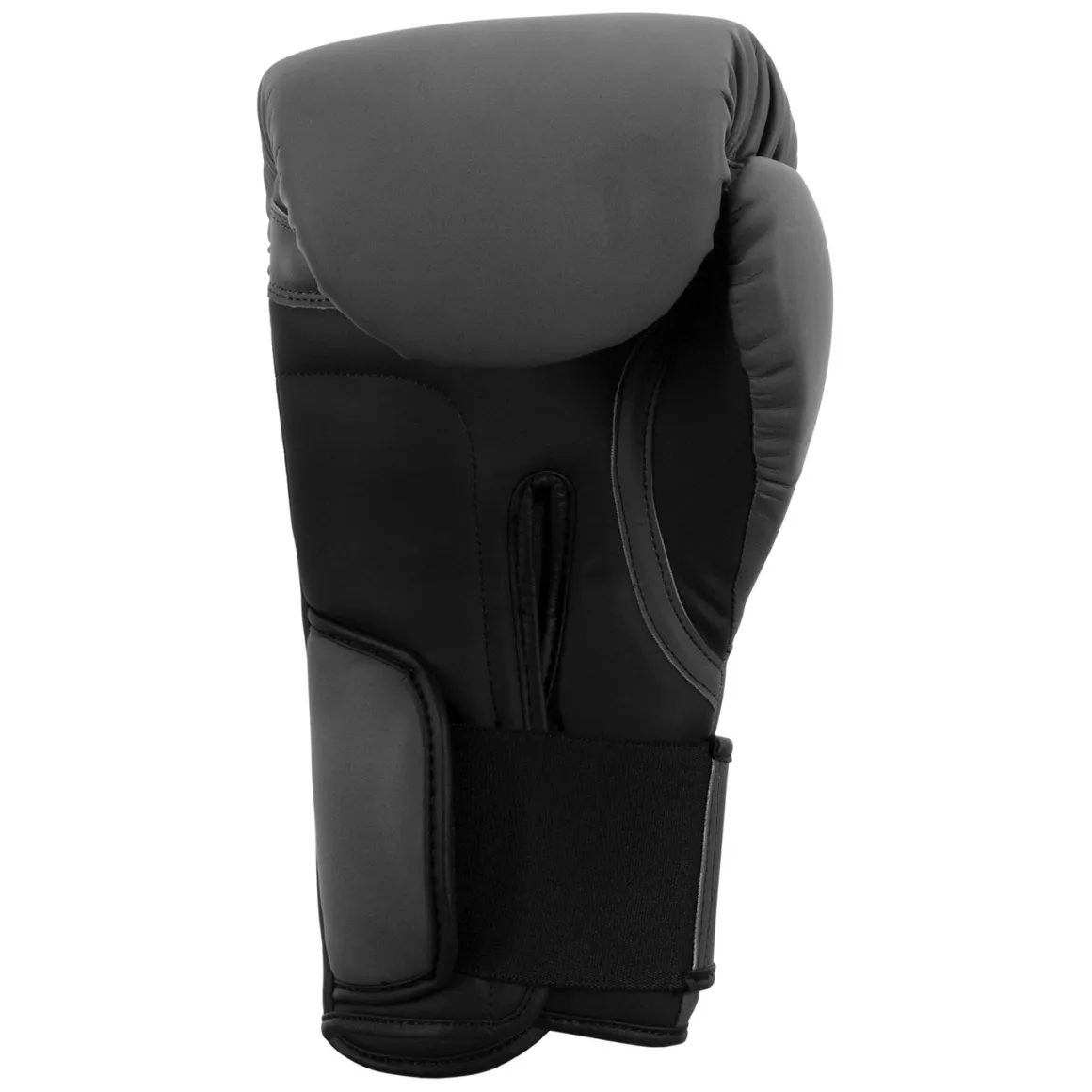 TITLE Boxing Combat Bag Boxing Gloves 2.0