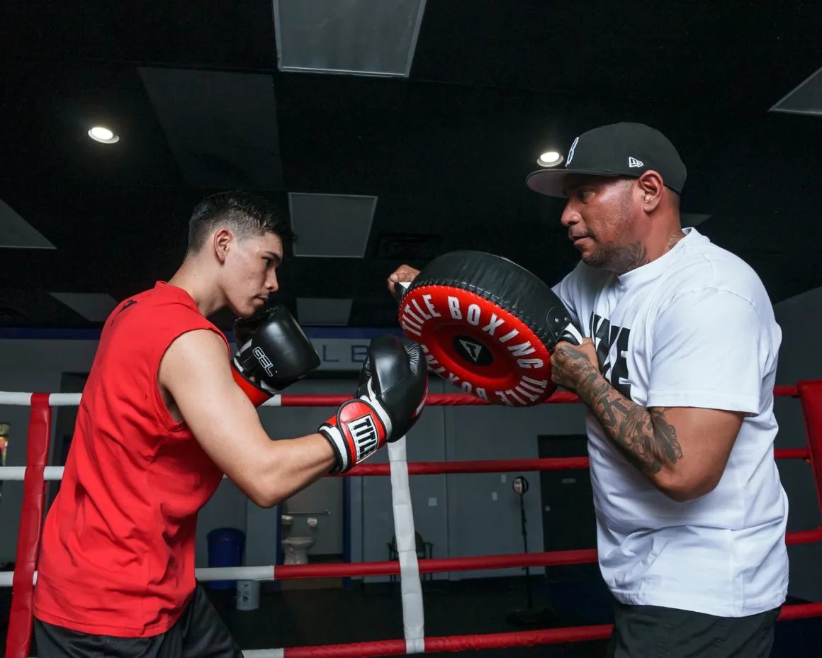 TITLE Boxing Combination Punch Shield