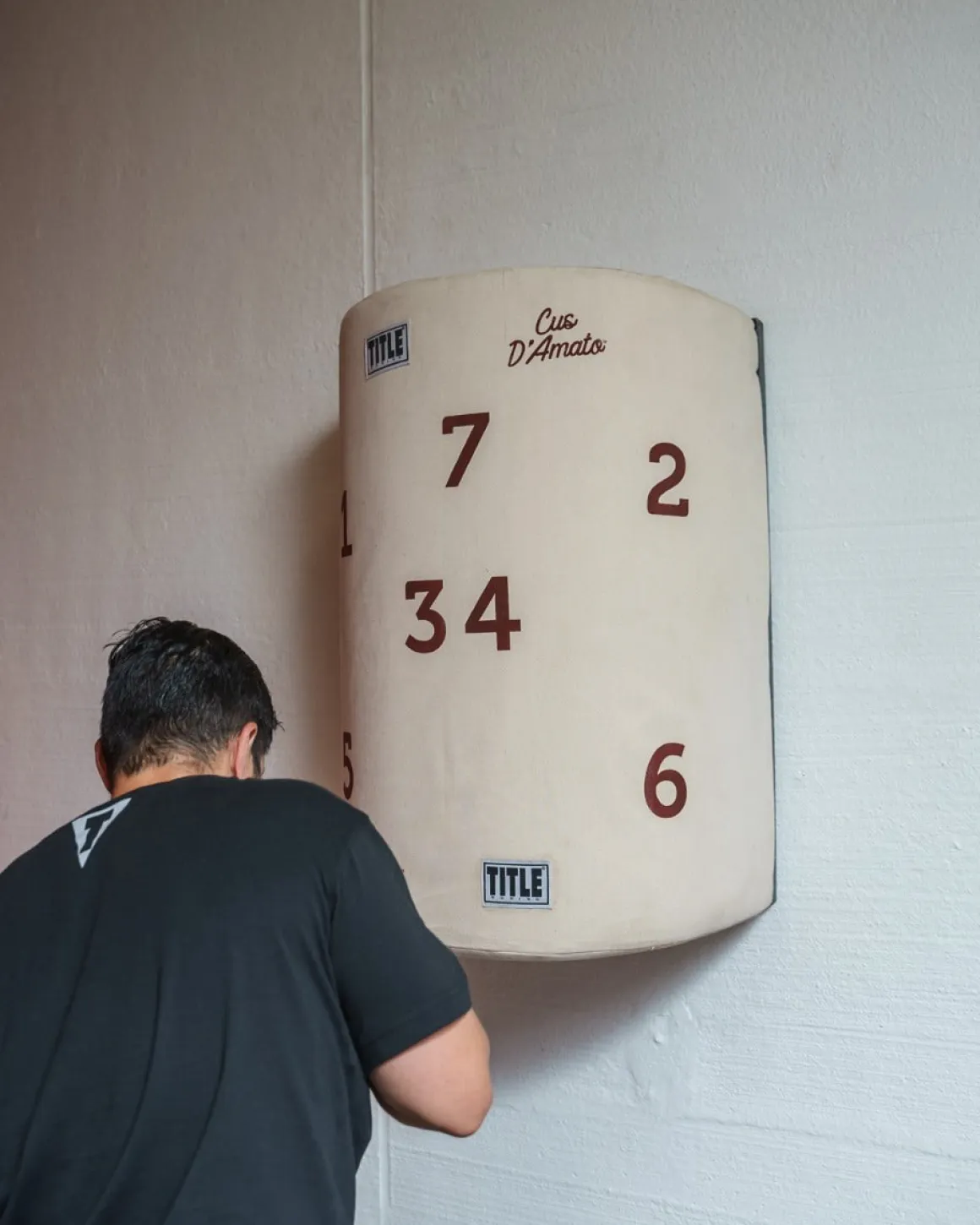 TITLE Boxing CUS D’Amato Willi Heavy Bag