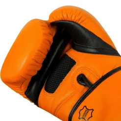 TITLE Boxing Dauntless Training Boxing Gloves