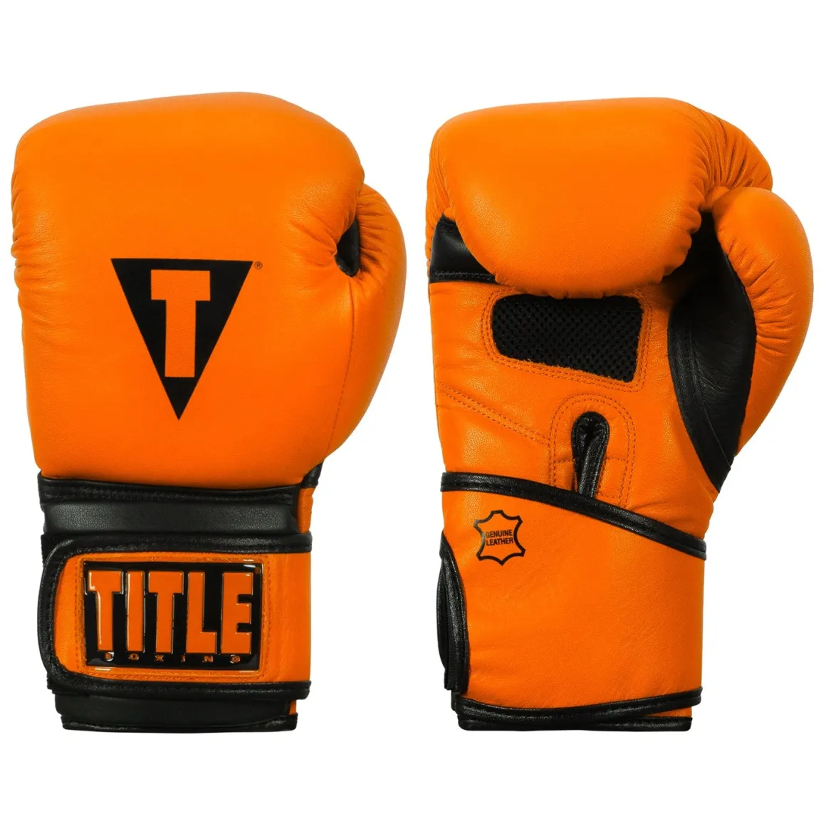 TITLE Boxing Dauntless Training Boxing Gloves