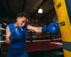TITLE Boxing Dauntless Training Boxing Gloves