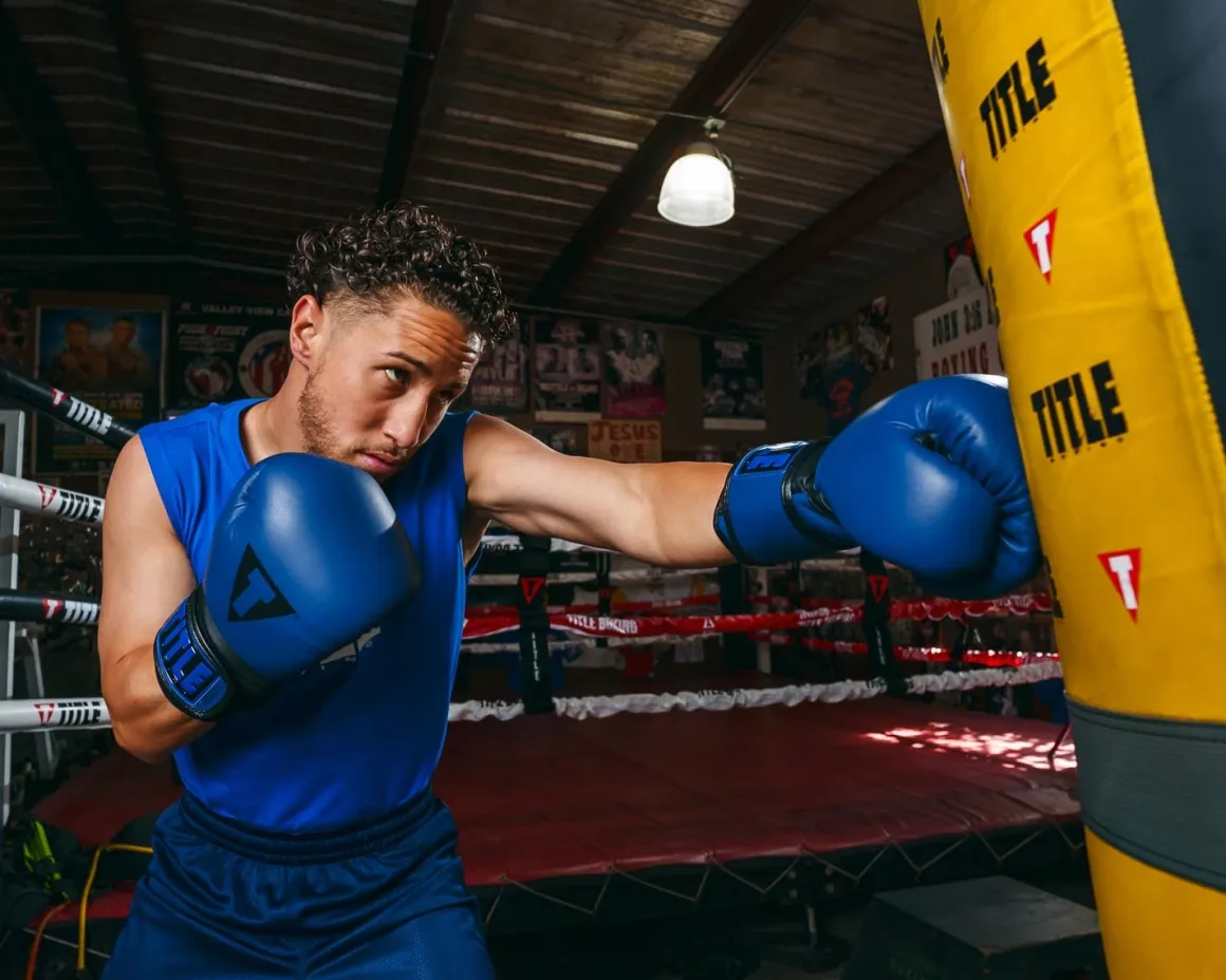 TITLE Boxing Dauntless Training Boxing Gloves
