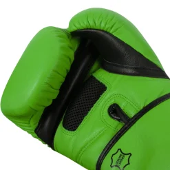 TITLE Boxing Dauntless Training Boxing Gloves