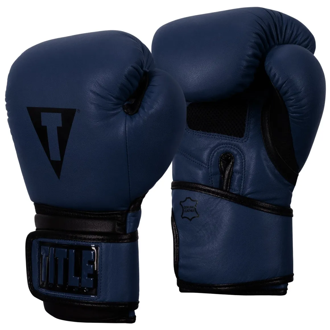 TITLE Boxing Dauntless Training Boxing Gloves
