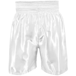 TITLE Boxing Edge Boxing Trunks 2.0