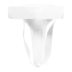 TITLE Boxing Female Groin Protector 2.0