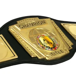 TITLE Boxing Force Of One Championship Belt