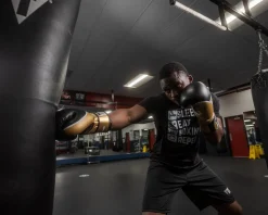 TITLE Boxing Infused Foam Interrogate Training Boxing Gloves 2.0