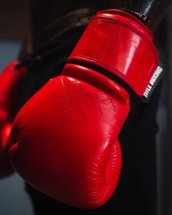 TITLE Boxing KO-Vert Training Boxing Gloves