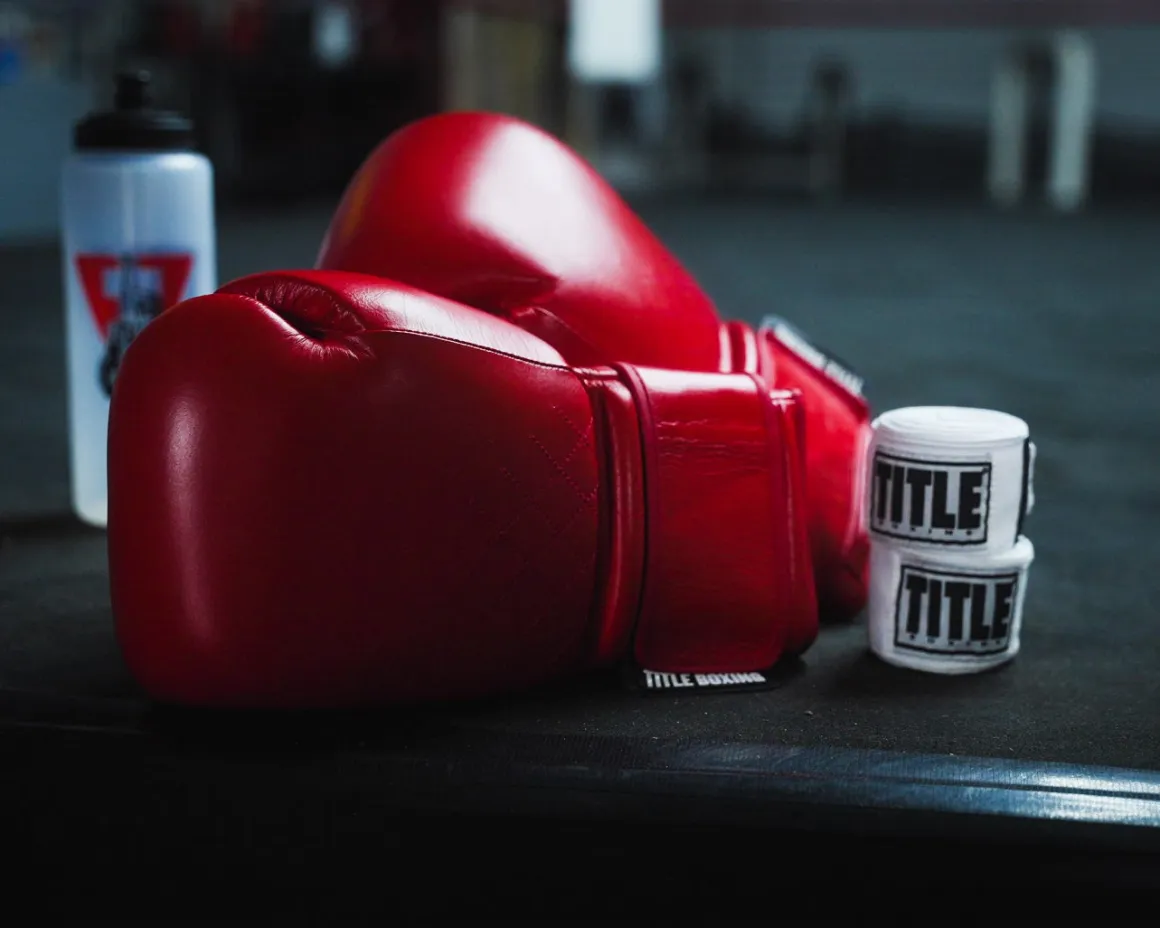 TITLE Boxing KO-Vert Training Boxing Gloves