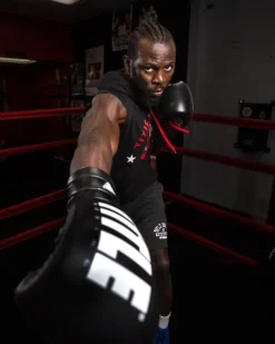 TITLE Boxing Leather Enforcer Pro Sparring Boxing Gloves