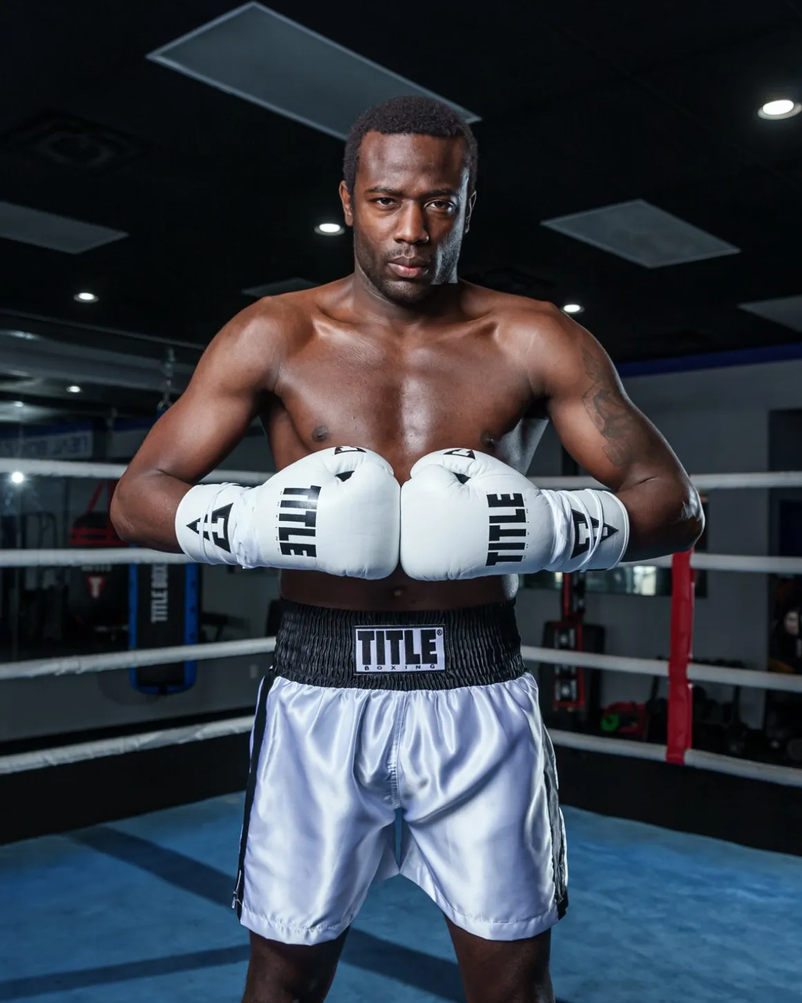 TITLE Boxing Leather Pro Fight Boxing Gloves