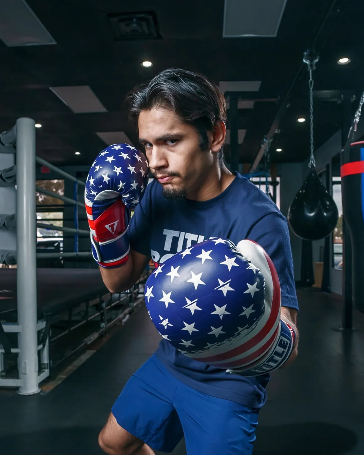 TITLE Boxing Liberty Bag Boxing Gloves