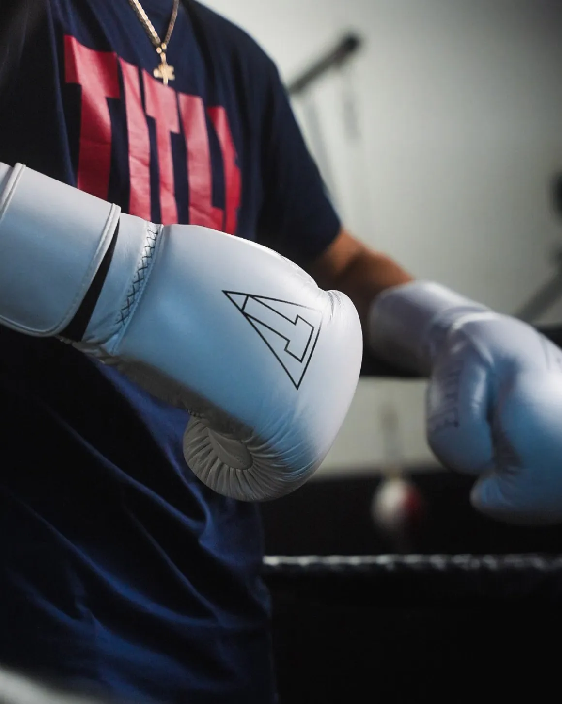 TITLE Boxing Momentum Pro Bag Gloves