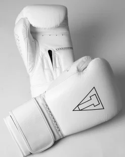 TITLE Boxing Momentum Pro Bag Gloves