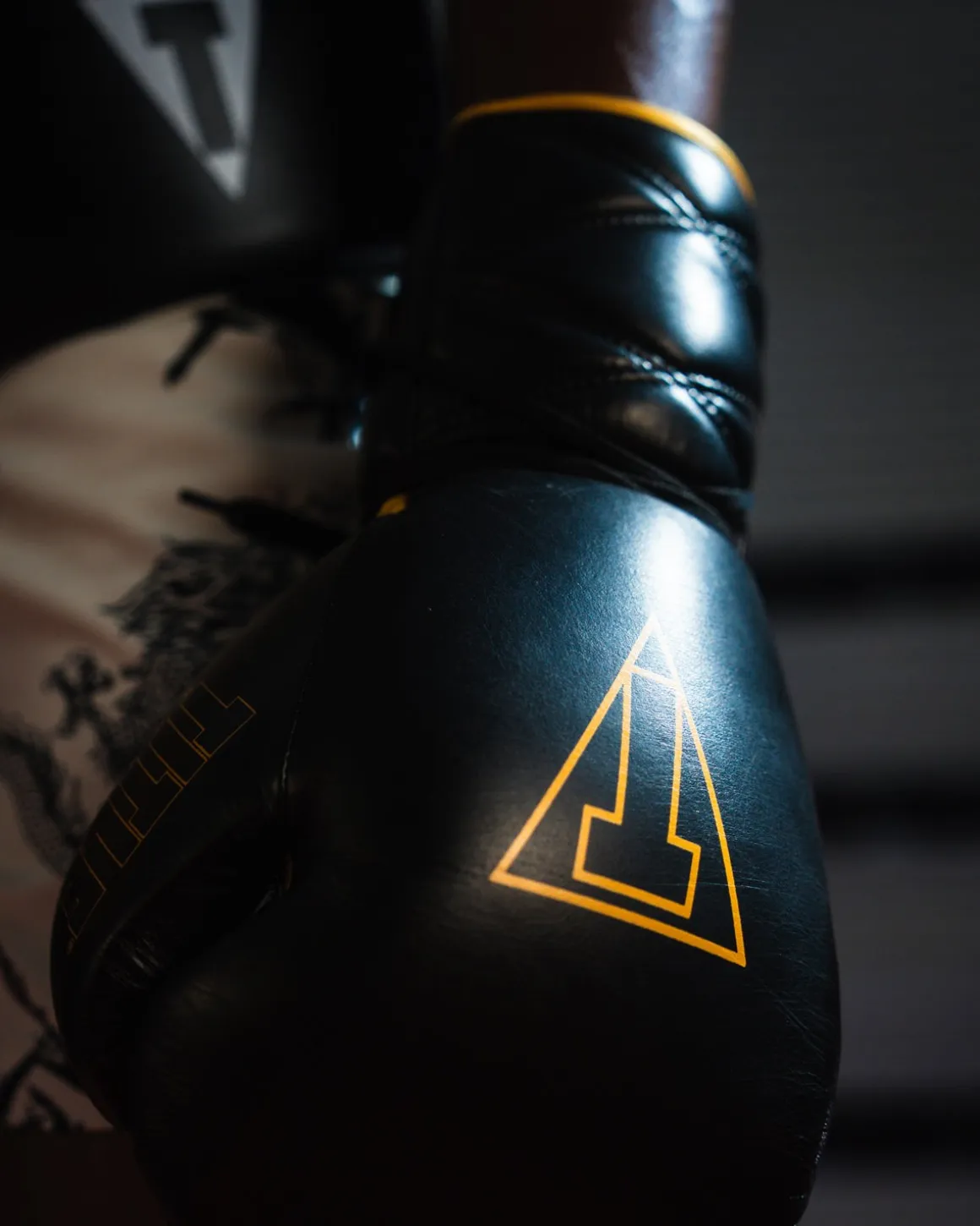 TITLE Boxing Momentum Pro Sparring Gloves