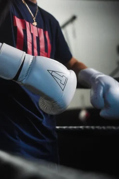 TITLE Boxing Momentum Pro Training Gloves